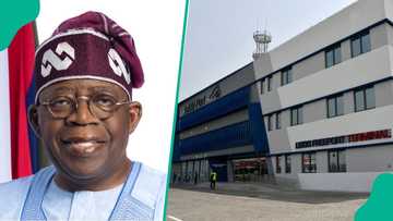 Lekki Seaport expands shipping to more West African destinations as Dangote plans to boost exports