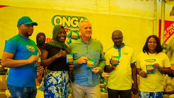 Onga Beef and Chicken Cubes relaunch: An improved taste for Nigerian Kitchens