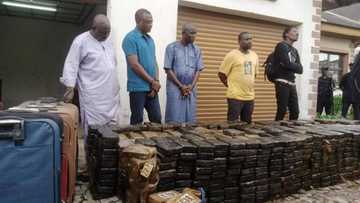 NDLEA Ta Bankado Babban Dakin Ajiye Hodar Iblis, Ta Kwace Mai Darajar Biliyan N193bn