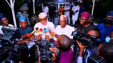 Gwamnonin Yarbawa sun ce jigon APC, Bola Tinubu zai iya rike Gwamnatin Najeriya