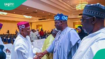 Gwamna Abba ya kafa kwamitin da zai tsara masa manufofin tazarce a mulkin Kano