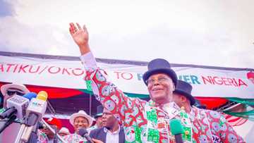 2023 presidency: Atiku conceding defeat before February 25? PDP candidate sends message to Nigerians