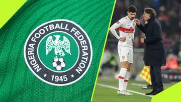 NFF to explore unique deal for New Super Eagles coach as ex-Leverkusen gaffer leads race
