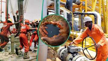 Tinubu Aapproves 2026 oil block licensing round as NUPRC targets fresh investment boom