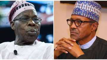 Obasanjo Ga Buhari: Shawarwari 3 Kwarara Don Magance Matsalar 'Yan Bindiga