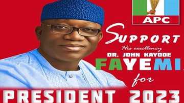 Shugaba kasa 2023: Fastocin yakin zaben Fayemi sun karade yanar gizo