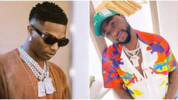 We did it first: Davido and Wizkid fans battle over RIAA platinum single certification