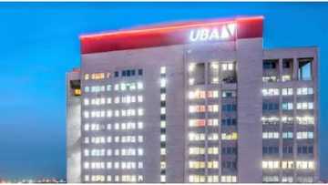 UBA’s Diversified Business Model, Enhanced Digital Platforms Key to Financial Gains - Uzoka