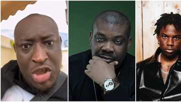 "He no even tag person way get the song": Carter Efe begs Don Jazzy to do a remix on Rema’s latest banger