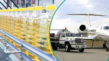 Hope for Air Peace, Max Air, others as firms successfully convert used cooking oil to aviation fuel