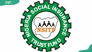 Confused about NSITF? Here's a simple guide to registration, payment and certificates