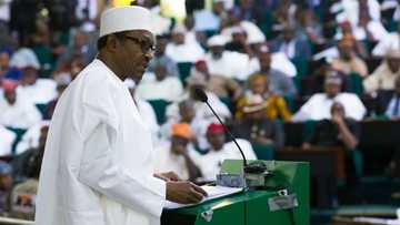 Soyayyar Buhari ta kashe aure a Filato