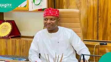 Breaking: NDC governorship candidate picks Kwankwaso's son as running mate