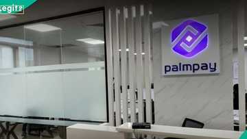 KudiWave: PalmPay releases statement, denies wrongdoing