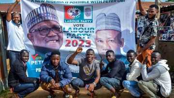 Peter Obi's supporters share photos of various Labour Party meetings nationwide