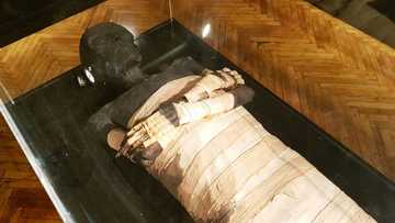 Ana bikin nunawa duniya gawar Fir'auna da sauran sarakunan Masar