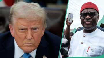 Did US President Donald Trump order Wike’s arrest? Fact surfaces