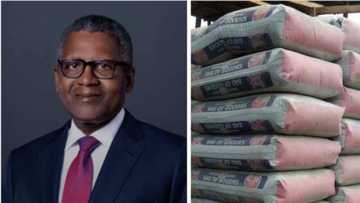 Kamfanin Simintin Dangote Ya Siya Hannun Jari 168m a Wani Sabon Shiri Da Ya Bullo Da Shi