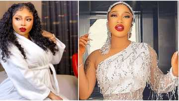 We don't want peace, give us the gist: Tonto Dikeh begs as Halima Abubakar vows to expose Nollywood bullies