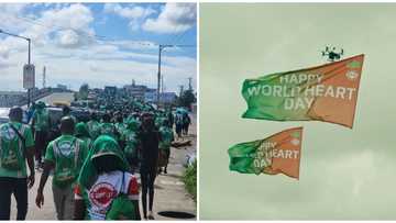 A decade of powering hearts: Power Oil continues to lead Nigeria’s health journey