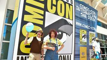 Small businesses warn of Trump tariff impact on toy industry at Comic-Con