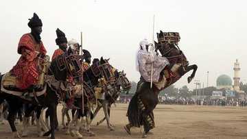 Mai Garin Katsina da aka yi garkuwa da shi ya fadawa ‘Yanuwansa inda aka kai shi