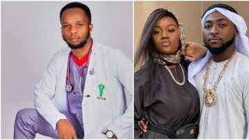 "He is lucky": Influencer reacts as Davido pays Chioma's bride price, drags Fancy, Tonto, and others