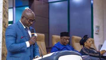FG, Industrialist, others interface to bridge unemployment gap in Nigeria