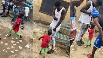 "David and Goliath": Smallish man challenges tall adult on road, collects his phone in video