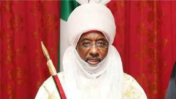 Ta faru ta kare: Majalisar dokokin jihar Kano ta amince da kafa masarautu hudu a jihar Kano