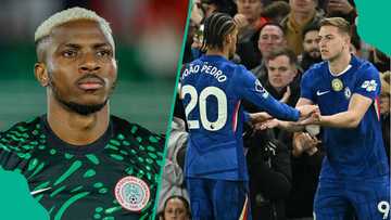 Chelsea gets go ahead to sign Super Eagles striker Victor Osimhen