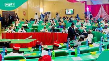 Majalisar Kano ta fara shirin tilasta koyarwa da harshen Hausa a makarantu