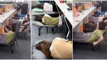 "No need to go home": Video of company allowing workers to take naps on the job emerges, sparks reactions