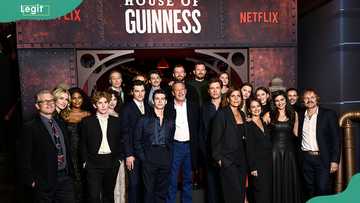 How much of House of Guinness is based on a true story?