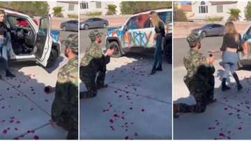 Lady screams at soldier for spraying her car with 'marry me' paint, rejects his proposal in video, many react