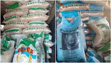 Jubilation as Lagos govt begins sale of rice, vegetable oil ahead of yuletide season, reveals price for 50kg bag