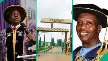 How 3 churches built Babcock University, Covenant University, Redeemer's University in Nigeria