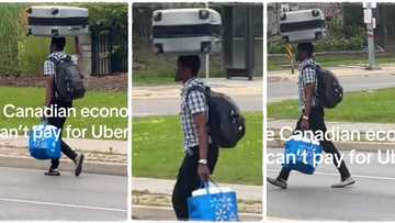 "He wants to save money": Man in Canada carries box on his head, holds his bag and crosses road like Lagosian