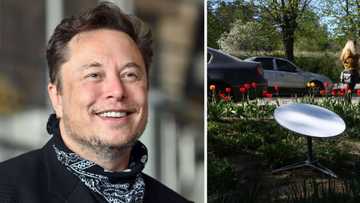 Fast internet, Data Prices many other reasons Nigerians are excited, worried about Elon Musks, Starlinks