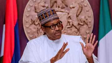 Why Nigerians must stop travelling abroad for treatment - Buhari