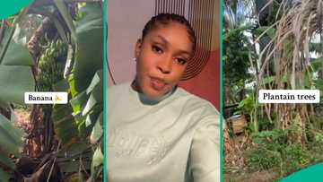 Proud lady displays family house her father built like "Garden of Eden," many marvel at how it looks