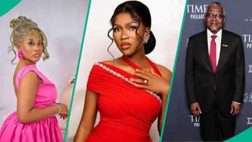 Phyna’s Sister's Alleged Classmate Speaks About Reality Star, “Ruth Struggled in School”