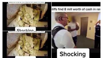 Video shows UK authorities busting Nigerian student’s home, discovers $8.5 million cash in a box