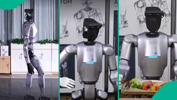 Scientists in China build AI robot called Atom which can help prepare food like human being