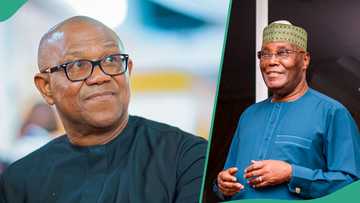 2027 election: Peter Obi breaks silence on alleged VP offer from Atiku, “I paid the price”
