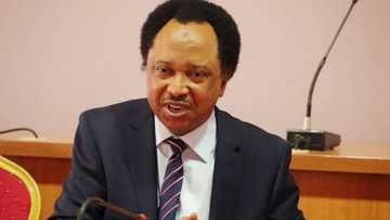 Shehu Sani: Yajin aikin likitoci ba fa na direbobin tanka bane, a dai duba