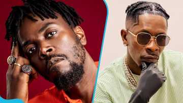 Kwaw Kese calls out Shatta Wale, says he has fallen off for slamming Stonebwoy