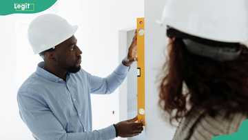 Which engineering has the highest salary in Nigeria? Top 10 disciplines