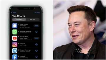 Signal: Important things to know about new internet messaging app the world's richest man wants you to use in place of WhatsApp (EXPLAINER)