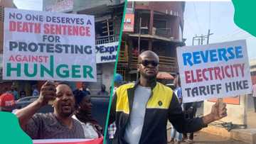 Ranar dimokuradiyya: Jami'ai sun kafa, sun tsare yayin da ake zanga zanga